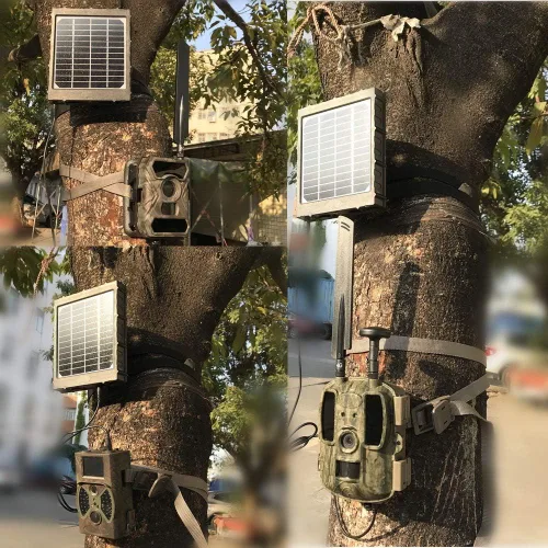 Vista 7 de Panel solar para cámara de sendero, WILDGAMEPLUS 14W 8000mAh 12V/1.2A 9V/1.6A 6V/2.4A IP66 Cargador recargable impermeable con cables para cámara