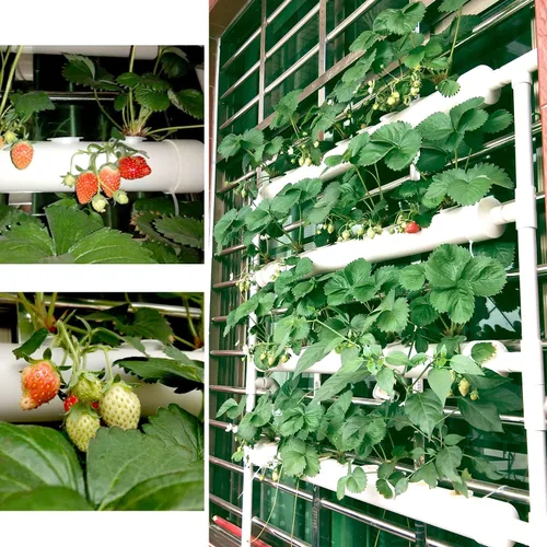 Vista 2 de Sistema de cultivo hidropónico NFT de 36 agujeros con ciclo especial de sincronización de fertilizantes, kit de plantas de jardín de tubería de PVC