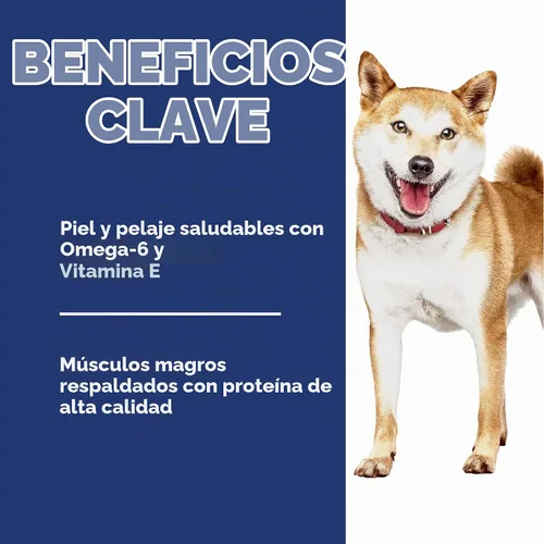 Vista 4 de Hill's Science Diet - Alimento seco para perros adultos 1-6, Nutrición Premium para adultos 1-6, sin maíz, trigo ni soya, pollo y arroz integral
