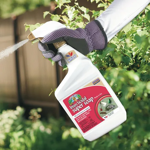 Vista 2 de Bonide Captain Jack's - Súper jabón insecticida, 32 onzas en aerosol listo para usar para jardinería orgánica y plantas de exterior