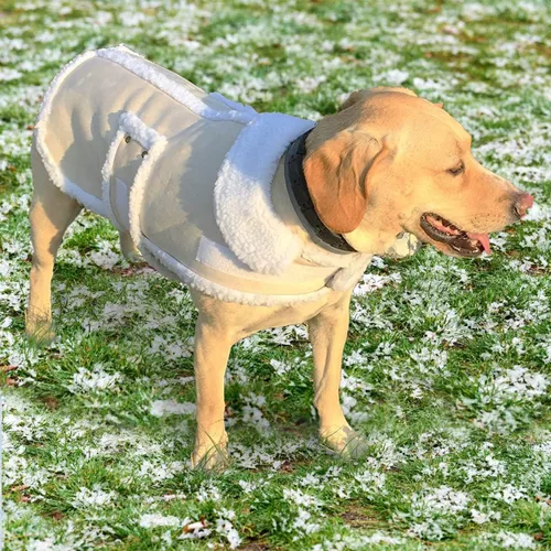 Vista 3 de Chaquetas para Perros de Piel de Oveja de CT Tienda de descuento., M, Blanco