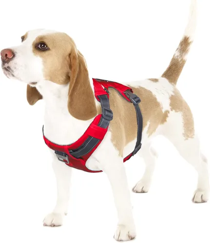Vista 18 de Outward Hound Boulder Adventure - Arnés ajustable para perro con bolsillos, turquesa, mediano
