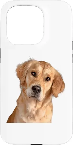 Vista 14 de American Golden Retriever Dog Sweet and Quizzical Case for iPhone 17