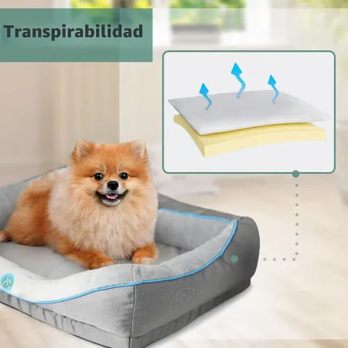 Vista 4 de Cama ortopédica para perros pequeños, sofá impermeable para perros pequeños, sofá de espuma de apoyo para mascotas con funda extraíble, parte