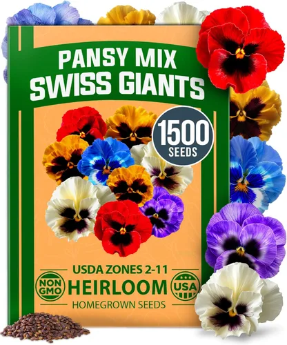 Vista 99 de HOME GROWN Semillas de zinnia rosa – 300 zinnias Luminosa 0.5g, semillas anuales de flores fáciles de cultivar para plantar al aire libre para 2026