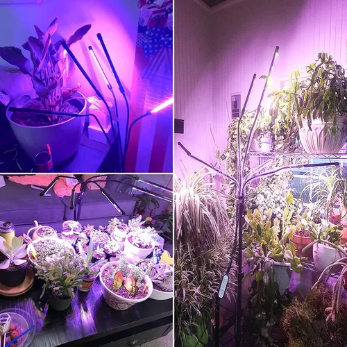 Vista 7 de Wolezek Luces de cultivo para plantas de interior, 100 luces LED de espectro completo para plantas de interior con soporte ajustable, lámpara