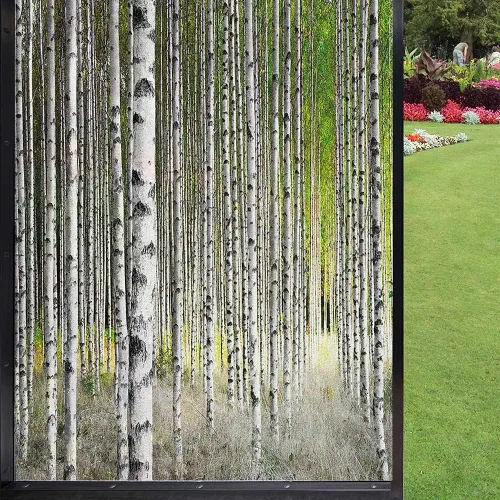 Vista 21 de Película decorativa de privacidad para ventana, control de calor, bloqueo solar, protección UV, diseño de bosque de abedul, adherencia estática