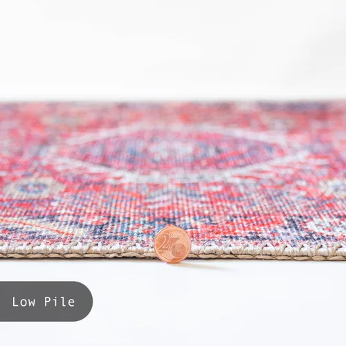 Vista 230 de GLN Rugs Traditional Collection - Alfombra de felpilla lavable a máquina, tradicional lavable, antideslizante, alfombra de felpilla de pelo corto