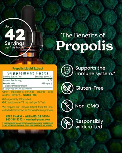 Vista 2 de Herb Pharm Extracto de hierbas líquido de propóleos: Apoyo inmunológico de propóleos Propóleo de abeja para el bienestar Extracto líquido