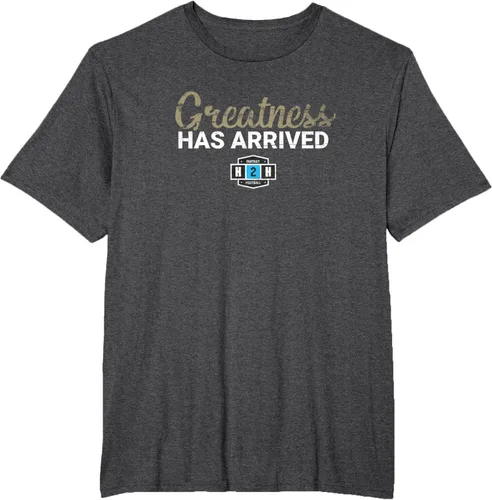 Vista 19 de Fantasy Football Greatness Has Arrived Camiseta Negro