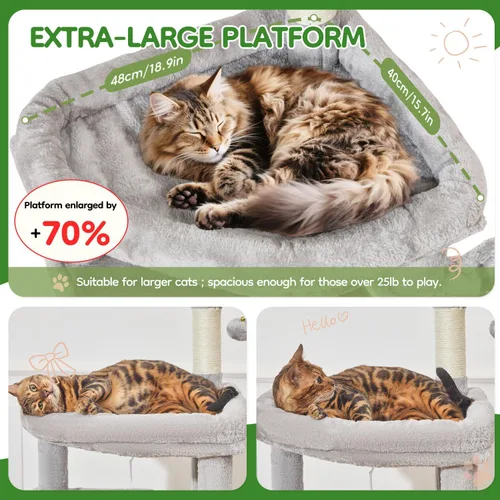 Vista 2 de Taoqimiao MS042W - Árbol para gatos, torre grande para gatos de 66 pulgadas con postes rascadores, lujosa plataforma grande para gatos grandes
