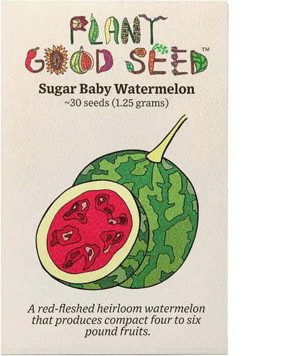 Vista 8 de Plant Good Seed Semillas orgánicas de melón helado – Paquete de 35, semillas de reliquia para plantar frutas, verduras, suministros de jardinería