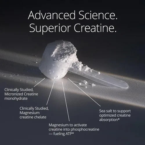 Vista 4 de Qualia Creatine Complejo Avanzado de Creatina 2 Fuentes + Magnesio Absorción Optimizada Rendimiento Muscular, Función Cerebral