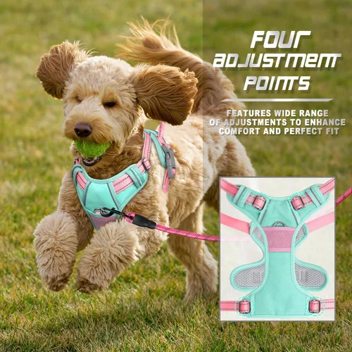 Vista 133 de BARKBAY - Arnés para perro sin tirones con clip frontal, material resistente y reflectante, asa de fácil control para pasear perros grandes