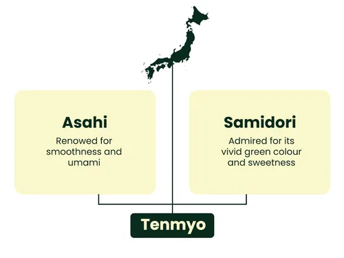 Vista 5 de Heapwell Matcha Ceremonial Grade, Kyoto Uji - 1.06 oz El mejor polvo de té verde japonés AAA Tenmyo Cultivar edición limitada Variedad premium