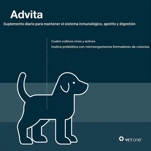 Vista 5 de VetOne Advita Suplemento Nutricional Probiótico para Perros - Paquetes de 30, 0.04 oz