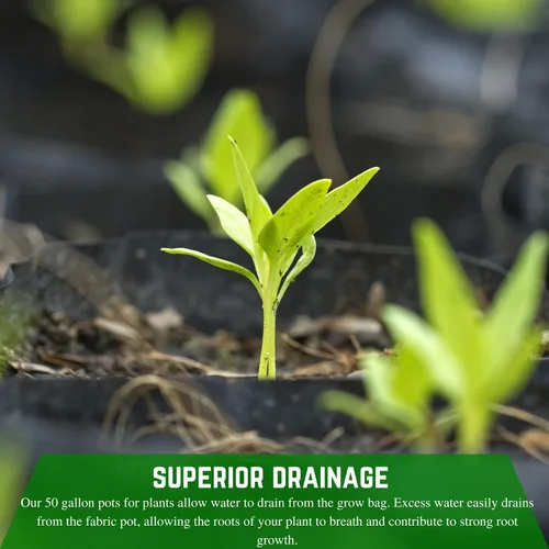 Vista 5 de Farm Plastic Supply - Bolsas de cultivo de tela de 3 galones - (paquete de 10) - Macetas de tela no tejida con asas, bolsa de cultivo, bolsas