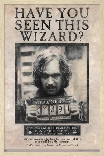 Vista 10 de Trends International El Mundo Mágico: Harry Potter - Póster de Buscado de Sirius Black, Póster de Pared, 14.725" x 22.375", Versión con Marco