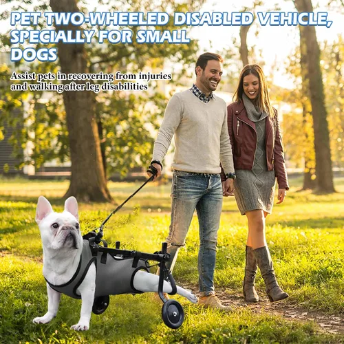 Vista 9 de Silla de ruedas gris para patas traseras, herramientas de paseo para mascotas, cómoda malla transpirable para perros, ayuda de movilidad ajustable