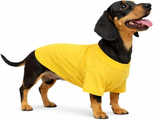 Vista 95 de Lovelonglong 2019 - Ropa para mascotas, Disfraces para Perro, Ropa Camisetas en blanco para Perros Grande Medianos Pequeños 100% Algodón 18