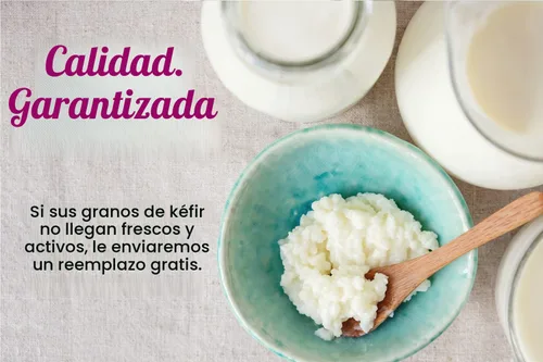 Vista 4 de 2 cucharadas de granos de kéfir de leche - Cultivo iniciador probiótico