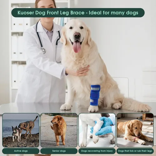 Vista 6 de Kuoser Soporte de pierna delantera para perro y protector de codo, codo ajustable para perro con tira reflectante, manga de compresión para piernas