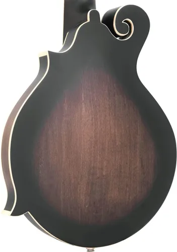 Vista 4 de Gold Tone F-Style - Guitarra de mando de 12 cuerdas con estuche rígido