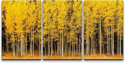 Vista 132 de wall26 Lienzo enmarcado para pared, juego de arte de noche estrellada sobre montañas, cielo nocturno tranquilo, naturaleza, desierto, fotografía