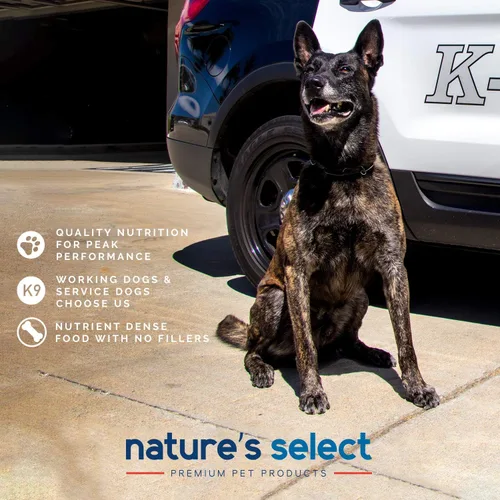 Vista 5 de Nature's Select Classic Recipe - Comida seca para perros de pollo y arroz para todas las etapas (30 libras)