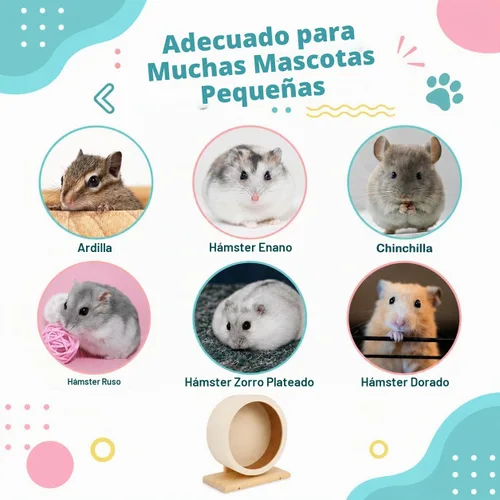 Vista 7 de antiai Rueda silenciosa de madera para hámster, accesorios de rueda de ejercicio para animales pequeños, ruedas giratorias silenciosas para evitar