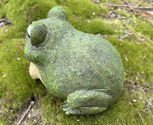Vista 5 de Top Brass Figura gruesa para ocultar llaves de rana, bonita estatua de jardín de sapo con compartimento secreto, para interiores y exteriores