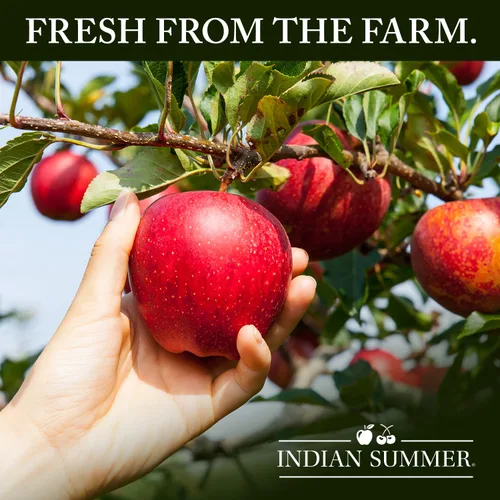 Vista 2 de Indian Summer Puré de manzana en trozos premium hecho con manzanas estadounidenses por cultivadores estadounidenses