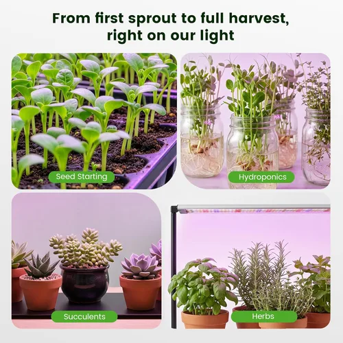 Vista 7 de Luz de cultivo inicial de semillas de 50 W con soporte