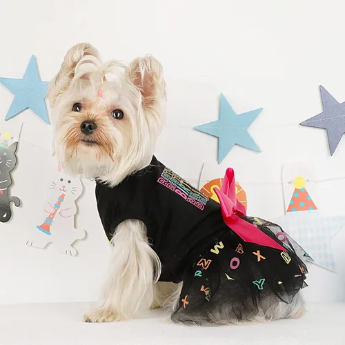 Vista 4 de Traje de cumpleaños para perro: vestidos coloridos de malla del alfabeto, tutú de verano, ropa para cachorros, XS, negro Cumpleaños negro