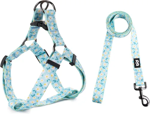Vista 20 de QQPETS Juego de correa de arnés para perro, ajustable, resistente, sin tirones, arnés halter para perros de razas pequeñas, medianas y grandes, clip