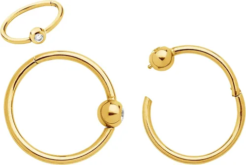 Vista 25 de 365 Sleepers Anillo de titanio de 18G de 0.236 a 0.394 pulgadas, con bisagras, segmento BCR, hélice, tragus, septum, nariz, labio, arete de aro