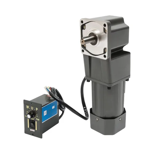 Vista 25 de 15W 10K AC110V 125 RPM Motor reductor de engranajes variable ajustable con controlador de velocidad para la industria