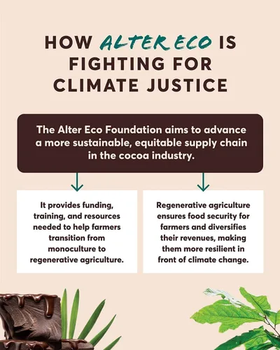 Vista 6 de Alter Eco Barras de chocolate negro Cacao oscuro puro, comercio justo, orgánico, sin OMG, sin gluten (apagón total)