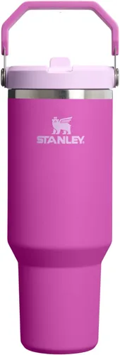 Vista 57 de STANLEY IceFlow 2.0 - Vaso con pajilla abatible con asa, 30 onzas, tapa giratoria y popote abatible, botella de agua a prueba de fugas, acero Tiza