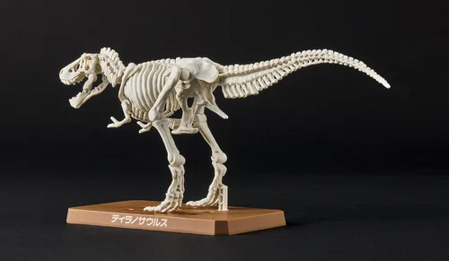 Vista 11 de Bandai Hobby - Plannosaurus - #01 Tyrannosaurus, kit de modelo de dinosaurio Bandai Spirits