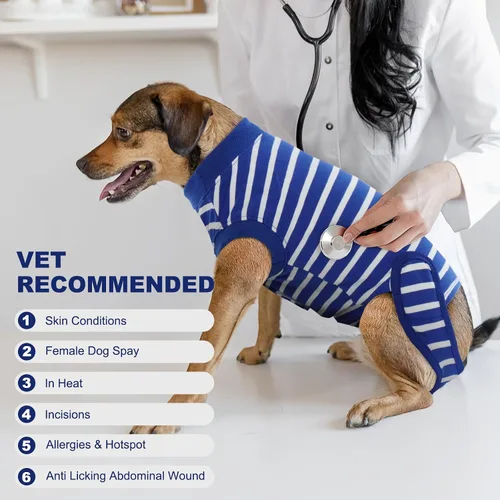 Vista 3 de IDOMIK Traje de recuperación para perros – Mono esterilizador femenino y masculino, ajustable antilamer, transpirable y cómodo, talla S, rayas azules