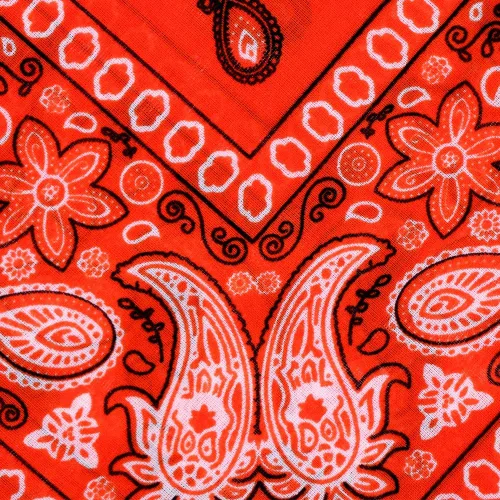 Vista 3 de OCD Bargain Bandana, 100% Cotton Versatile Large Paisley Bandanas in Pack of 5 (Multi Color)