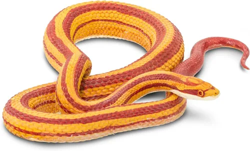 Vista 3 de Safari Ltd. Figura de serpiente de maíz, figura realista de modelo de 5.25 pulgadas, juguete educativo para niños, niñas y niños a partir de 3 años