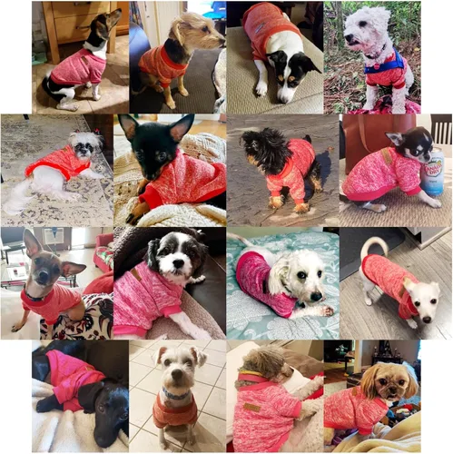 Vista 4 de Jecikelon Ropa para Perros Suéter para Perros Ropa Suave para Cachorros Ropa de Invierno Suéteres para Cachorros Atuendo Cálido para Perros Pequeños