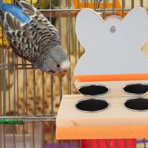 Vista 7 de Espejo de loro con cuenco de comida de agua o jaula de pájaros, soporte de madera para alimentación, accesorio para jaula, cuenco de alimentación