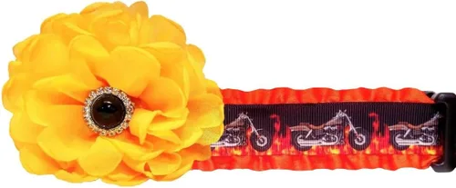 Vista 2 de Motorcycle Bike Harley Dog Collar