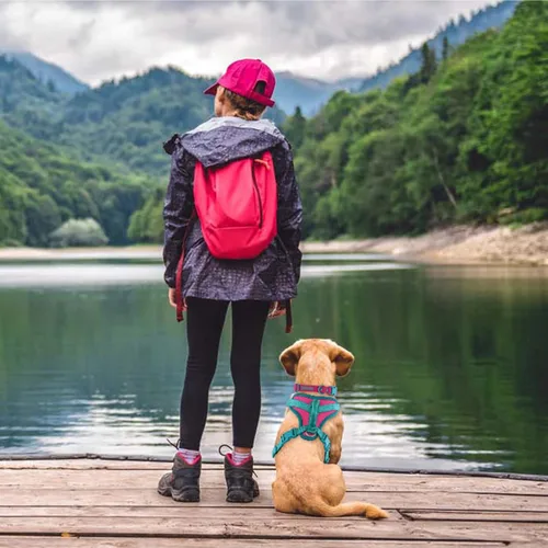 Vista 7 de Wolfone Arnés sin tirones para perro, ajustable, suave, acolchado, chaleco para mascotas, con asa de control, adorable arnés diario para perros