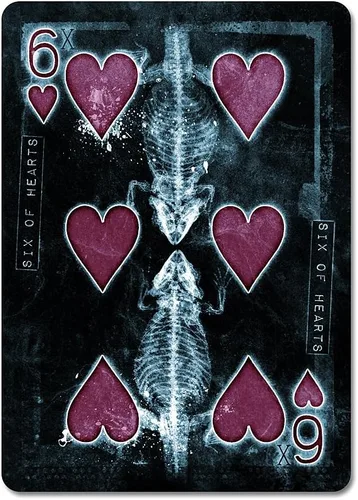 Vista 5 de USPCC Bicicleta Karnival Xtreme Playing Cards (Ltd Ed) Big Blind Media
