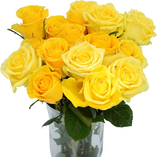 Vista 5 de Greenchoice Flowers - Rosas Rosa encendido