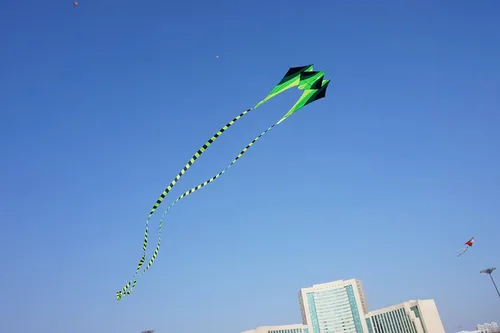 Vista 5 de Besra Cometa grande de rana fluida de diamante 3D de una sola línea con 2 colas largas, deportes divertidos al aire libre para niños y adultos